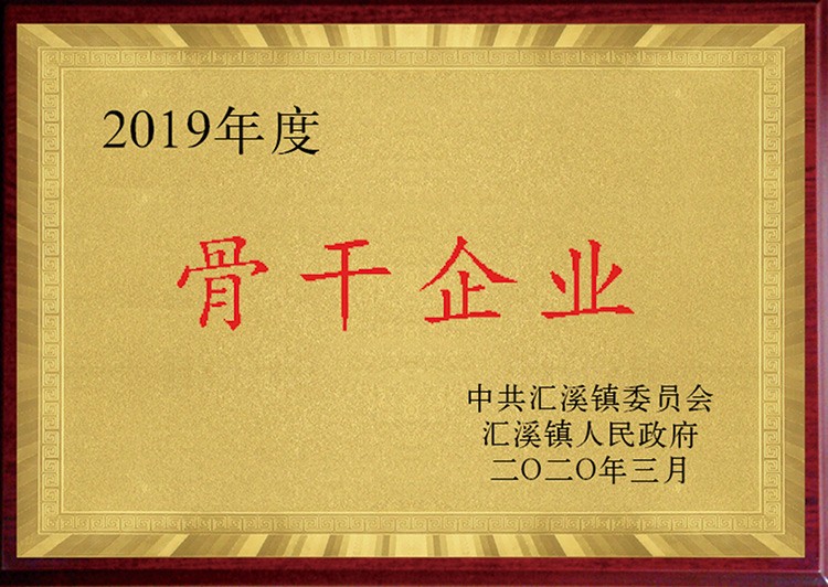 2019年度骨干企业
