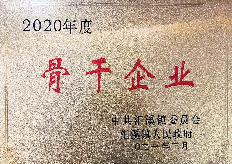 2020年度骨干企业